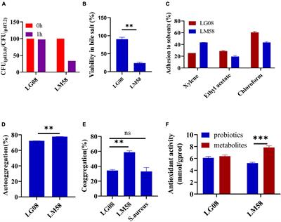 Lactobacillus gasseri LG08 and Leuconostoc mesenteroides LM58 exert preventive effect on the development of hyperuricemia by repairing antioxidant system and intestinal flora balance